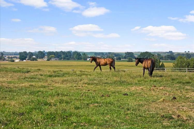 13.35 Acre Equestrian Estate Lot in Canyon County, ID