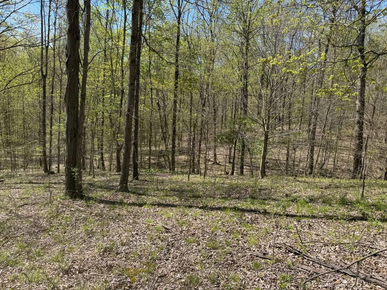 62201820-33