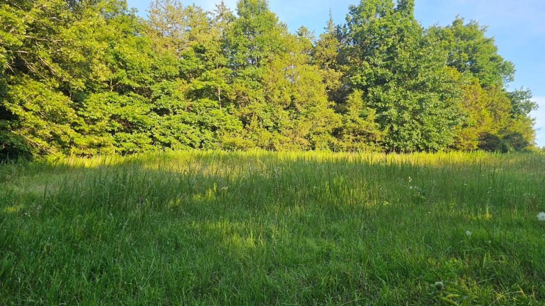 102.00 Acres at 002 Tomahawk Slab Road