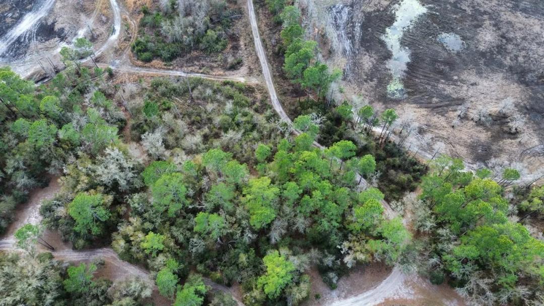 1.25 AC Bronson Lot