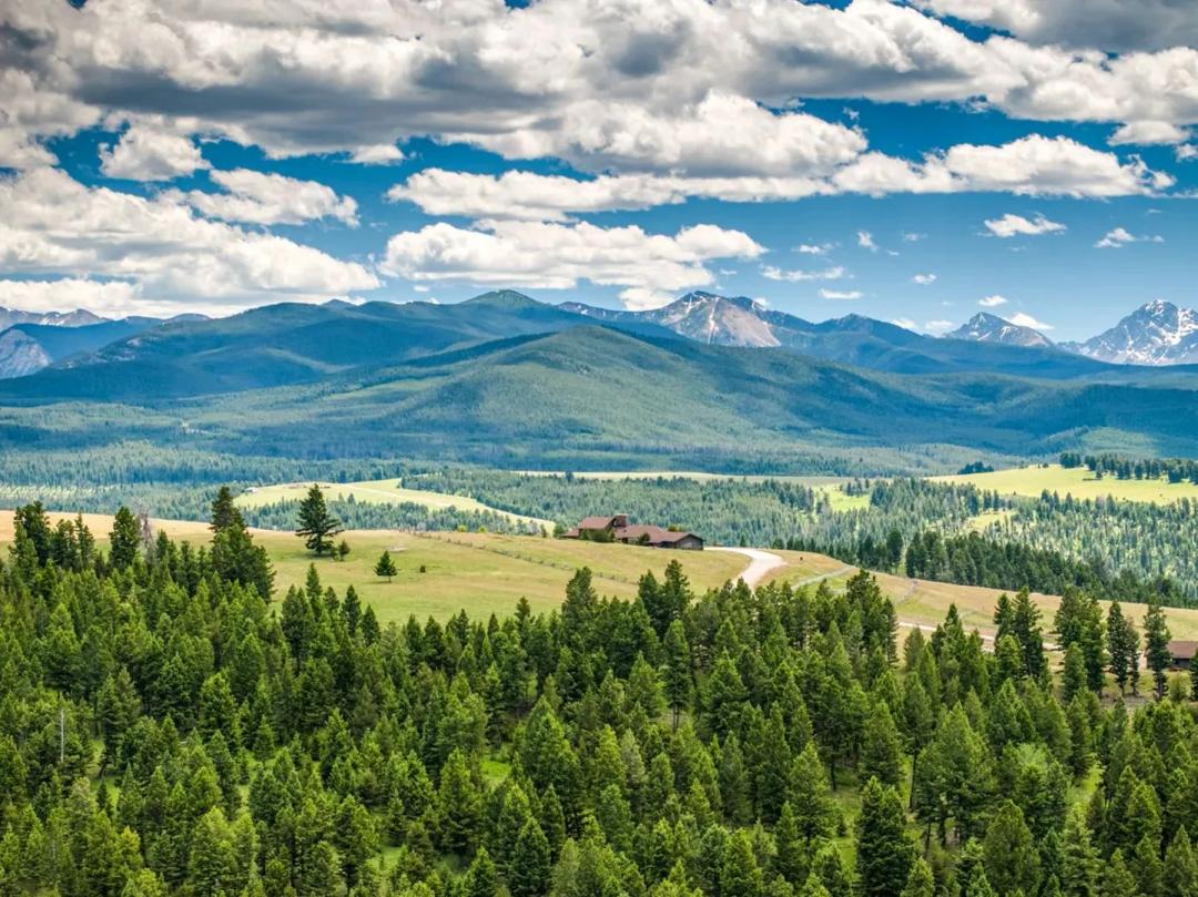 Pintler Overlook