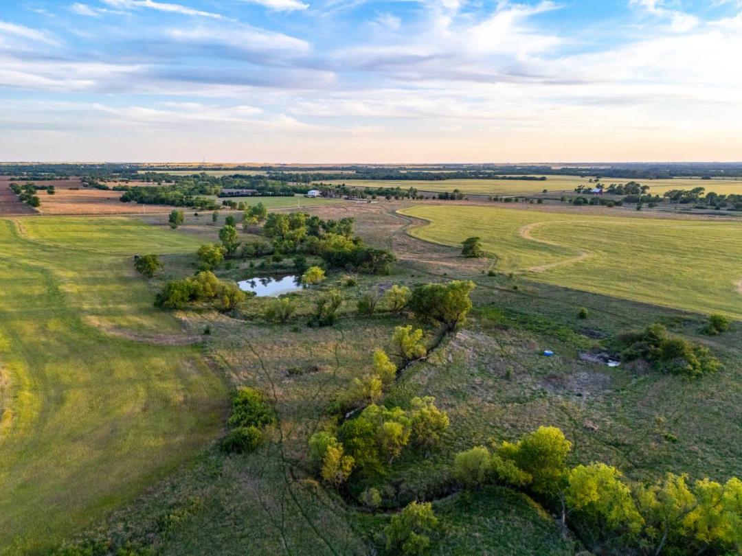 Bluff City Combo Farm