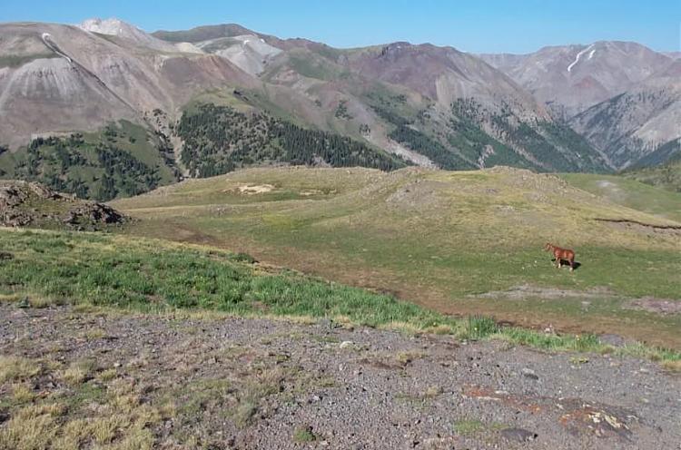 Patented mining claim SW Colorado Borders BLM/gov't land