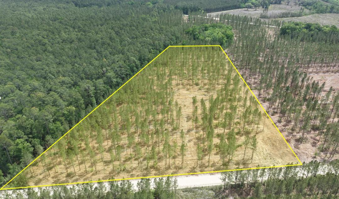 9.30 Acres at 1000 Fire Tower Road