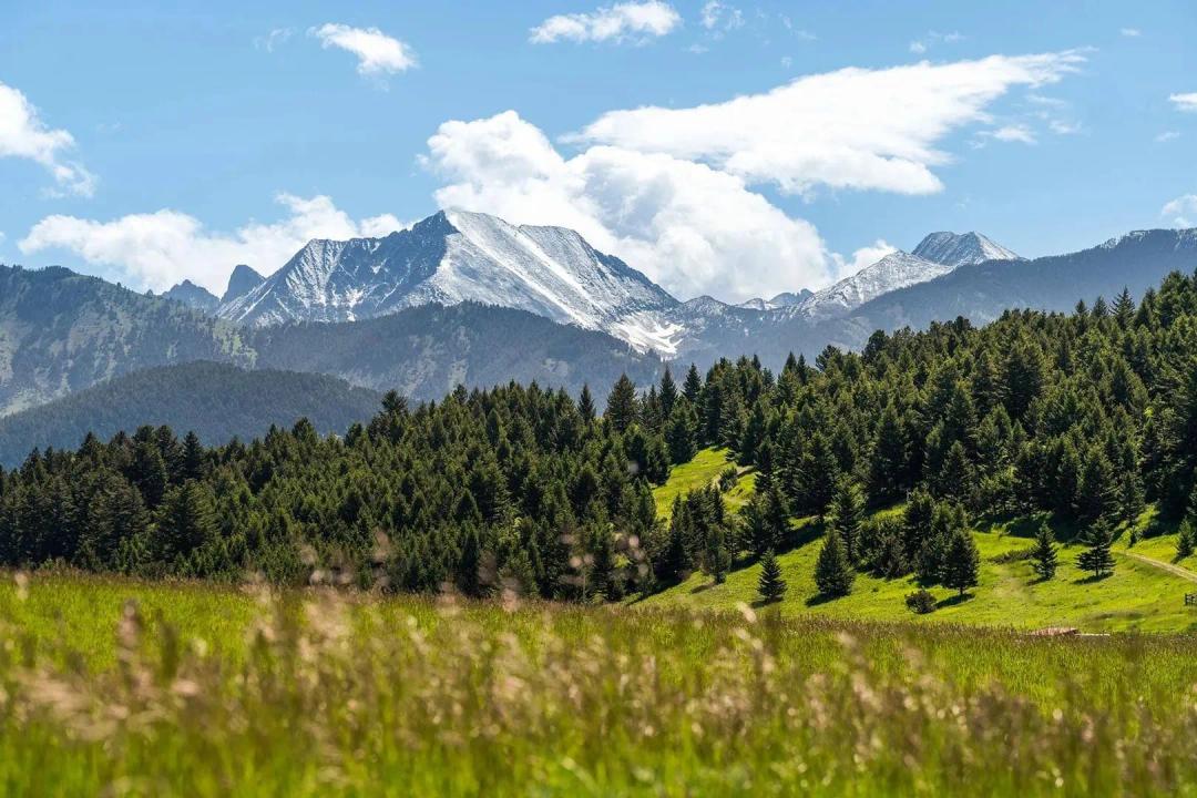North Fork Horse Creek Ranch