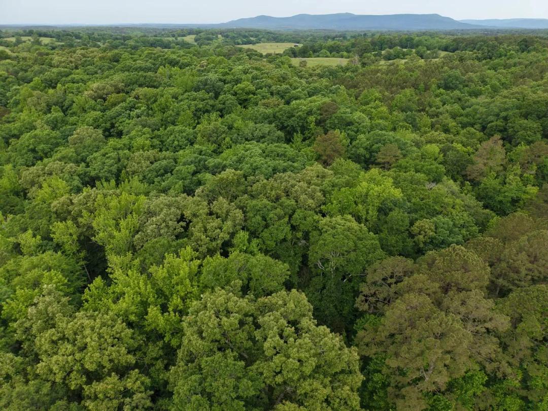 10.02 Acres in Polk County, AR 