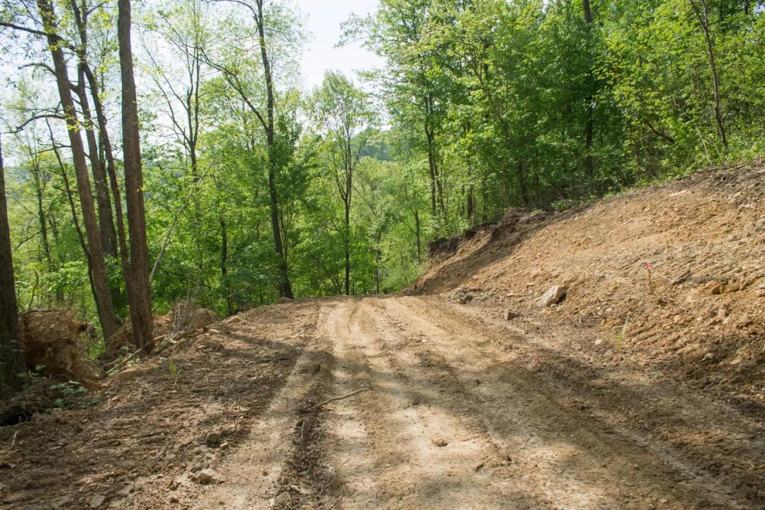$999 down raw land in Rockcastle County