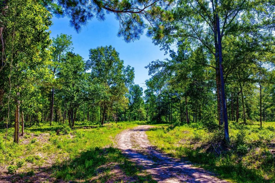 Angelina Co.- Crown Pines Reserve