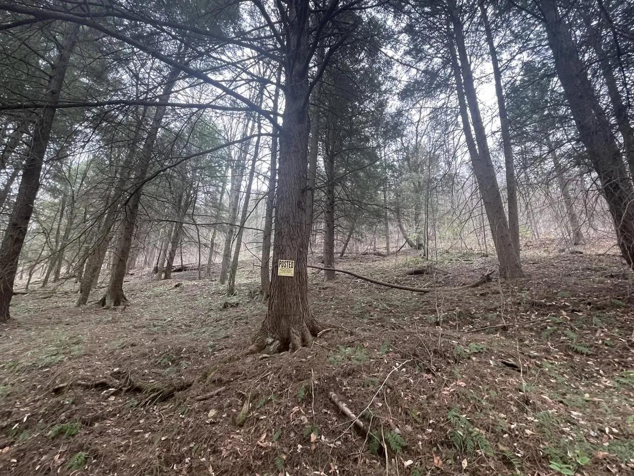 6236586-15