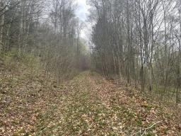 6236586-24