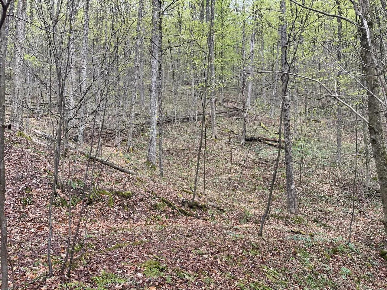 6236586-36