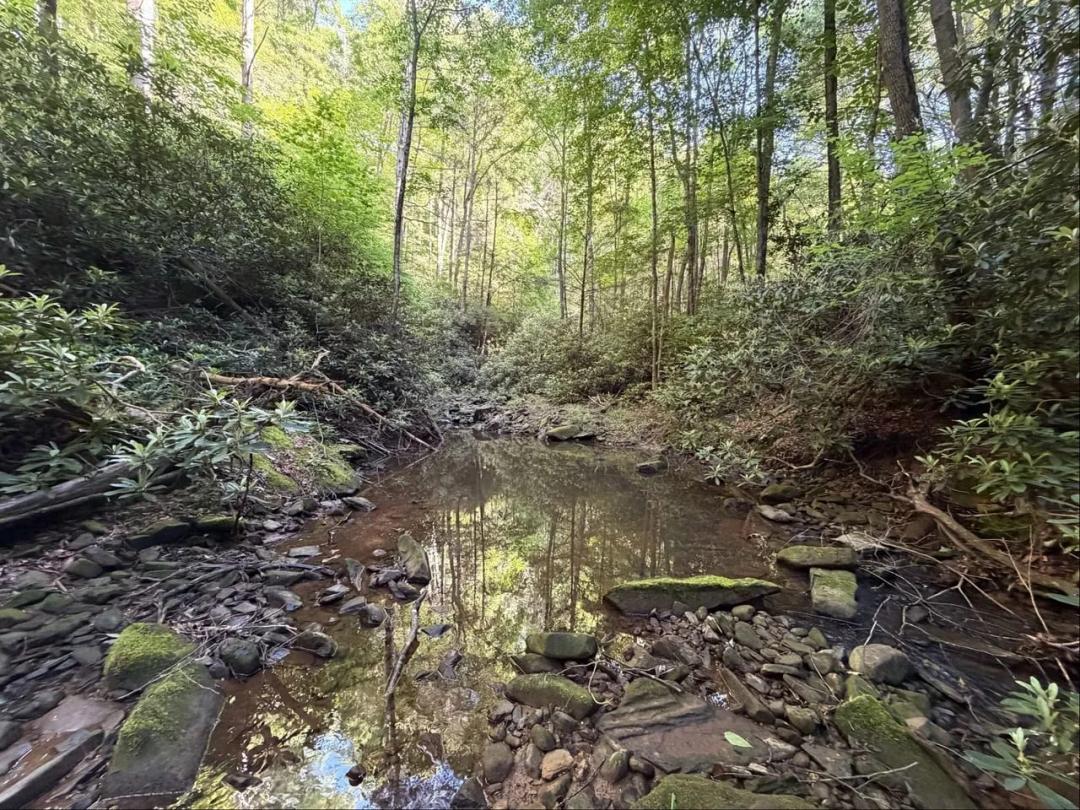 49 Acres for Sale Near National Forrest in Wise County, VA!