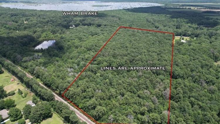 Wooded Homesite in Monroe Louisiana