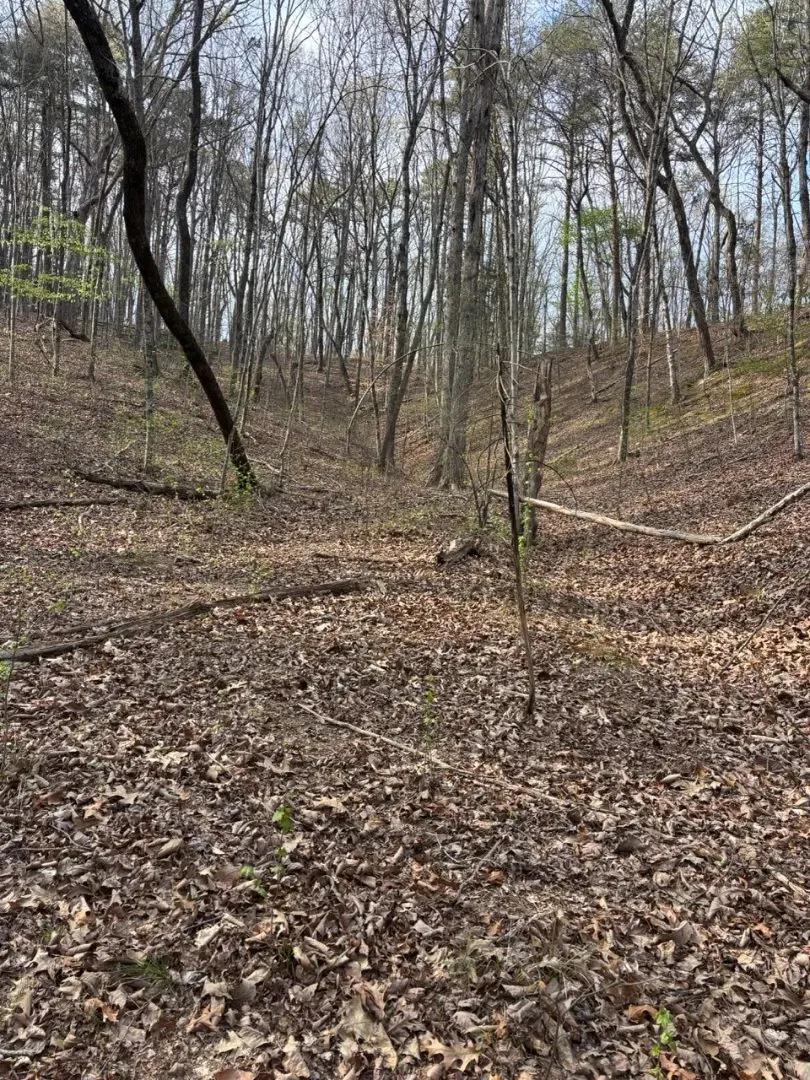 39.3 Acres in Hamilton County, TN 