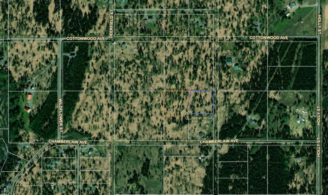 Trees * Cul-de-sac * Ninilchik Alaska * Wolverine Flats