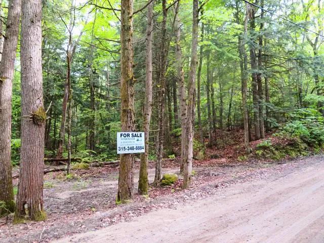 ADIRONDACK RETREAT NEAR THE GREAT SACANDAGA LAKE