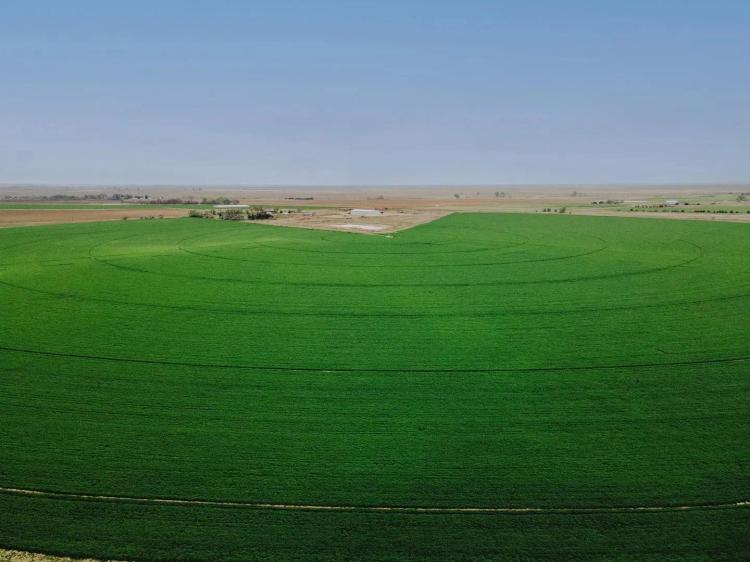 Otero County Irrigated Farm
