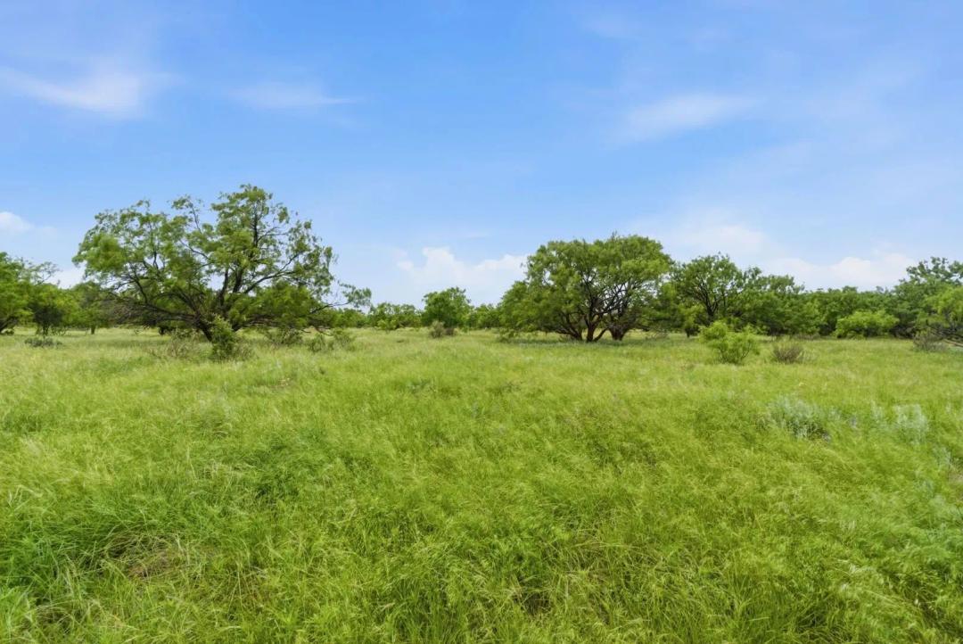 256+/-Acres FM 880 Moran, TX 76464