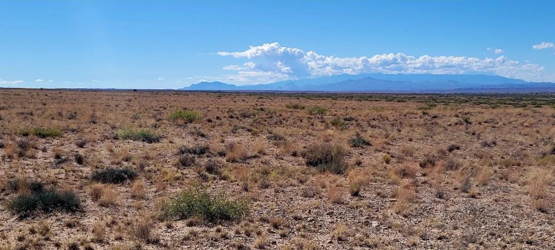 Off-Grid Dream Property - 2 Lots - 2 Acres Total - Corner - Bring Your RV