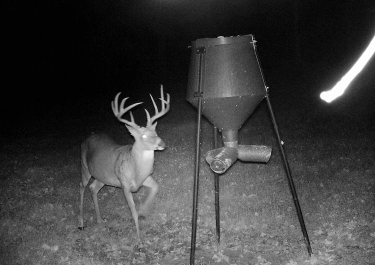 297.36 Acres at 0 KY Hwy 1952