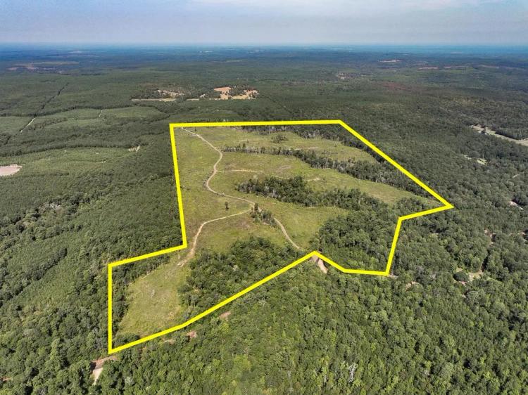 189 Acres | CR 3725