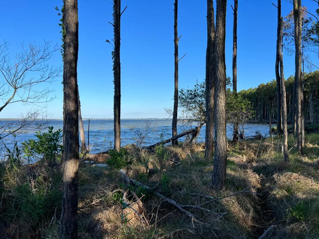 Unrestricted Land in Scranton, NC