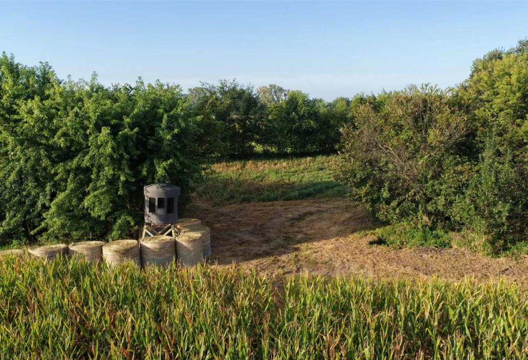Listing #19800 - 134.10 acres in Clarke County, IA