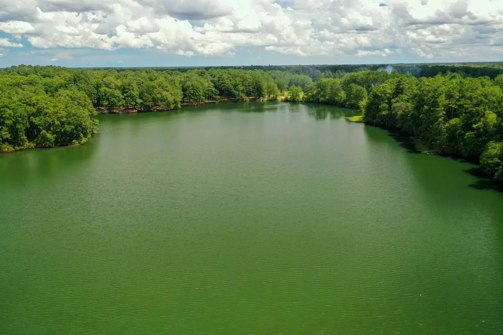 62585962-23