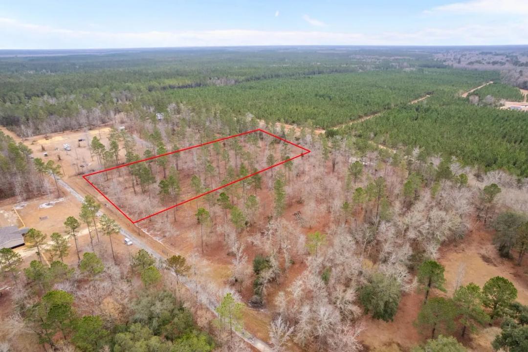 Tract 2 - 4 Acres in Loggan Lane