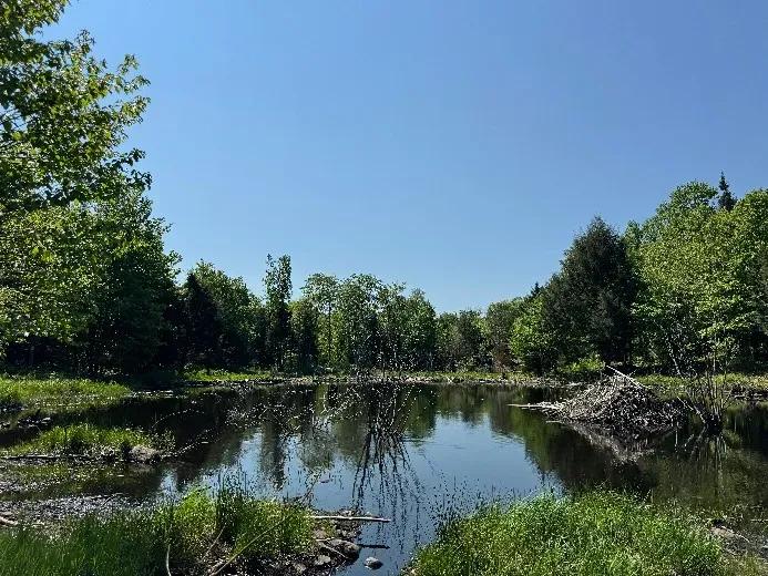 On Broad Brook