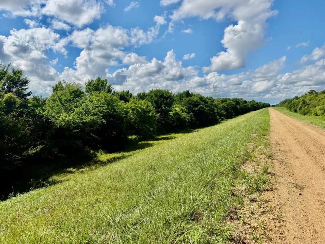 52.5 Acres in Quitman County in Sledge, MS