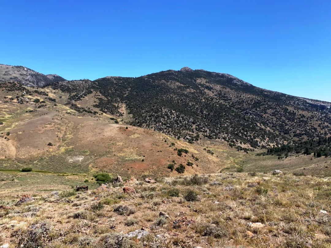 Patented Mining Claim in the Humboldt National Forest of White Pine County