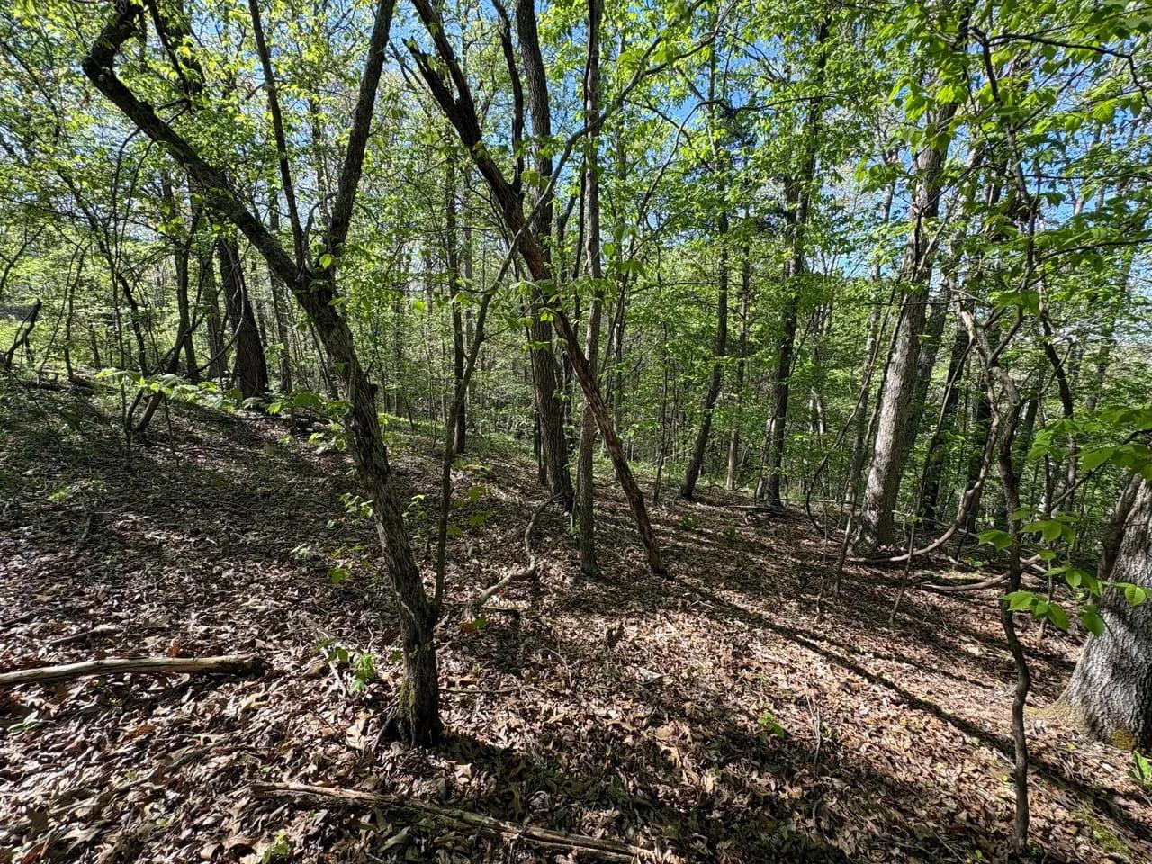 62727465-5
