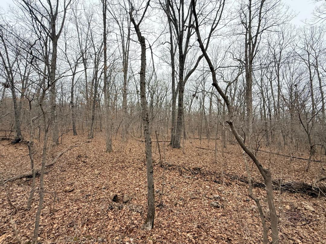 Morgan County Missouri 12.81 Hwy Frontage Property