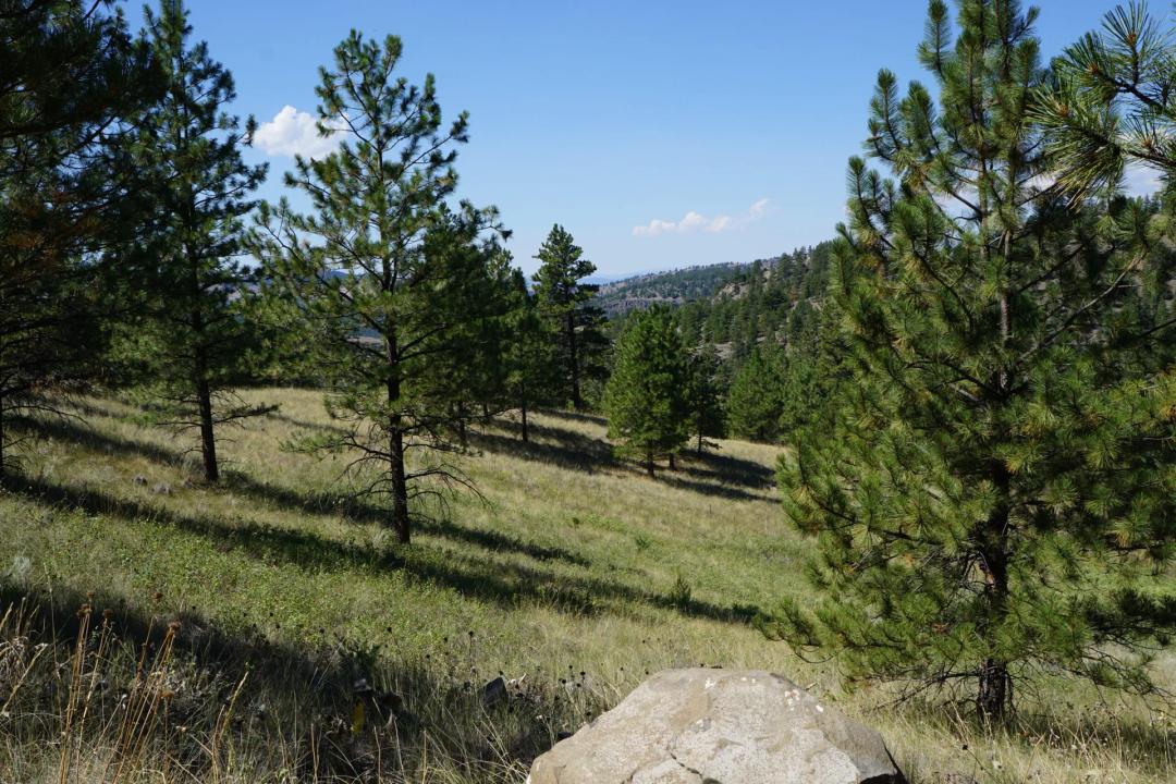 Ridge Crest Retreat