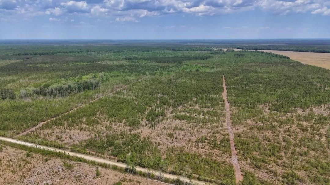 UNDER CONTRACT!!  35 acres of Recreational Timberland For Sale in Craven County!