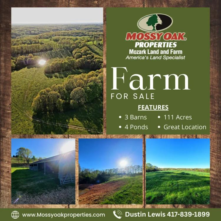 Bass Hollow Farm