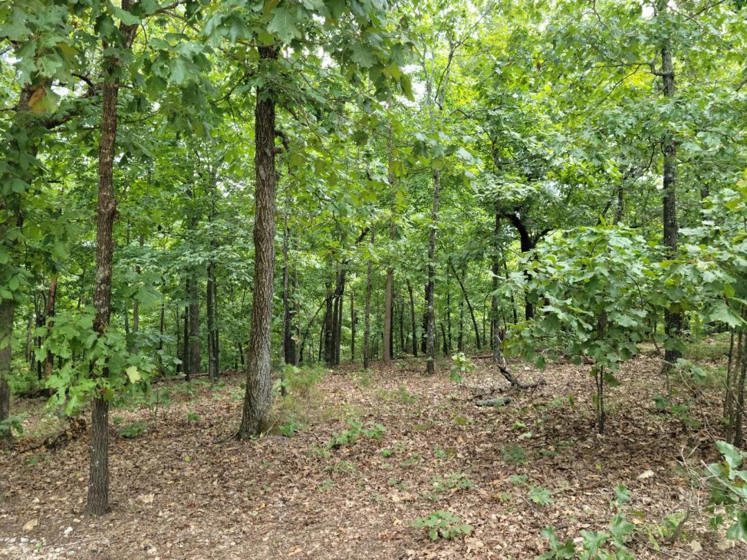 3.00 Acres at 000 Cherokee Acres Road