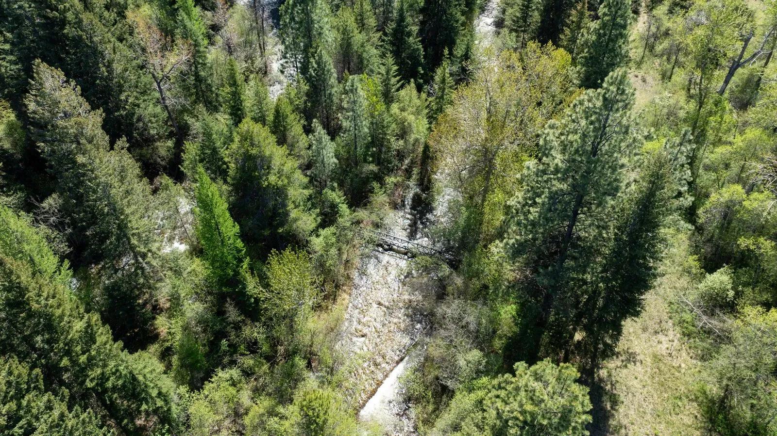 62995704-21