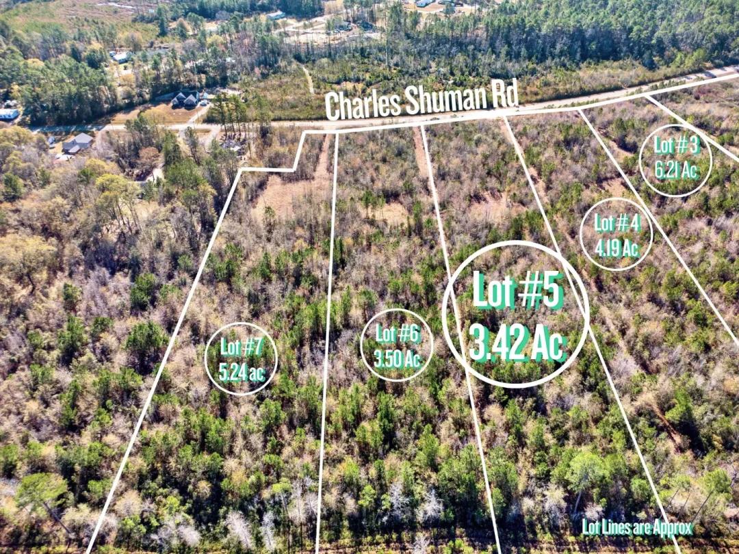 3.42 Acres - Pembroke/Ellabell Area - North Bryan County