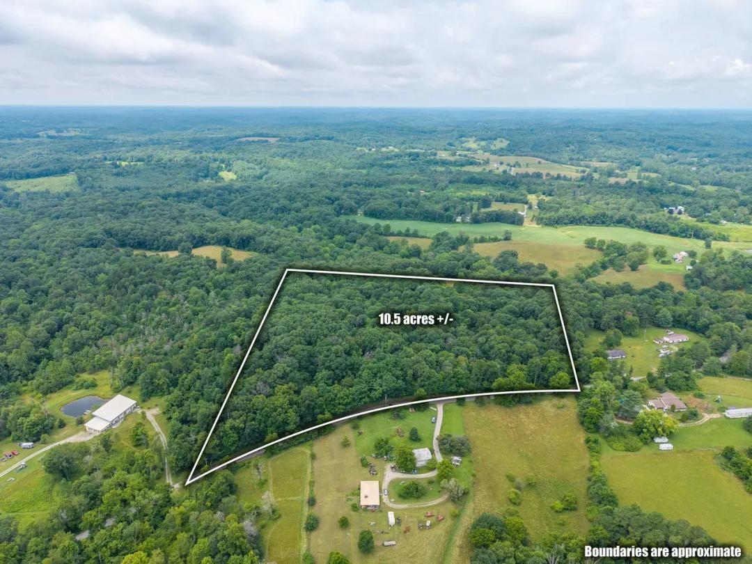 Gun Club Rd - 10 acres