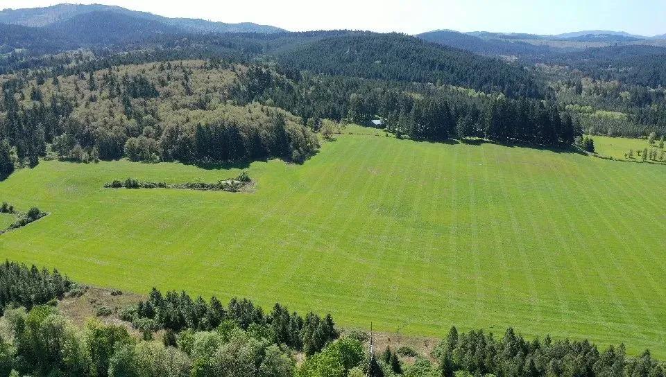Productive Grass Seed Farm