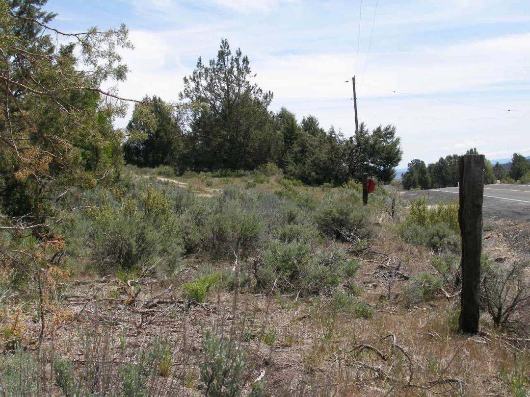 Sprague River Views * Trees * Power * Paved road * Mobiles site-builds Modulars ok