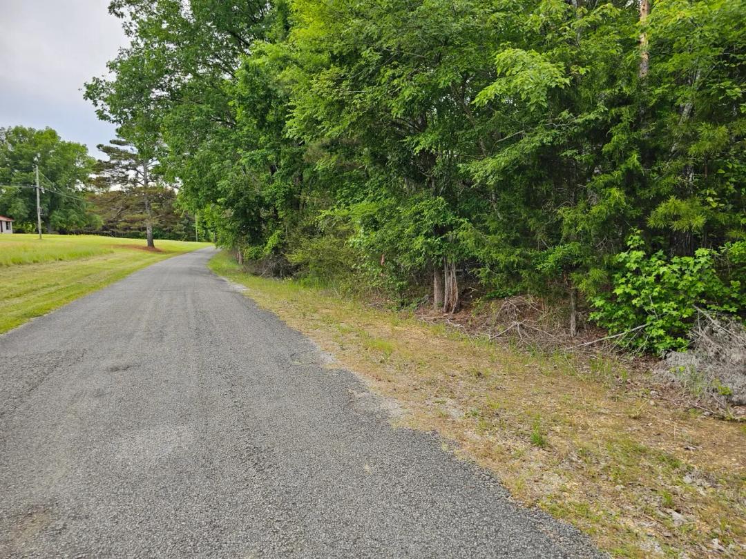 29.00 Acres at 000z County Road 4