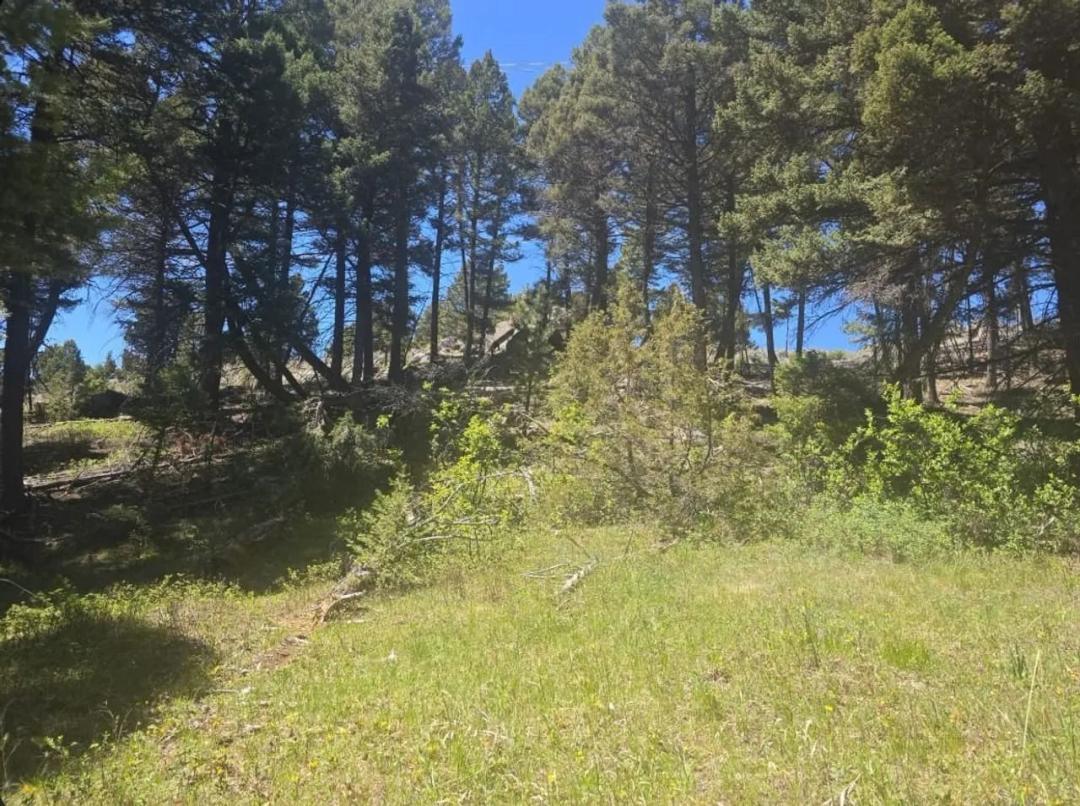 TBD Powerline Road