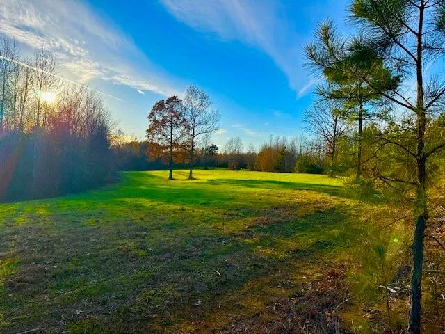 3 Bedrooms1 Bathroom on 160.00 Acres at 0 Hwy 247