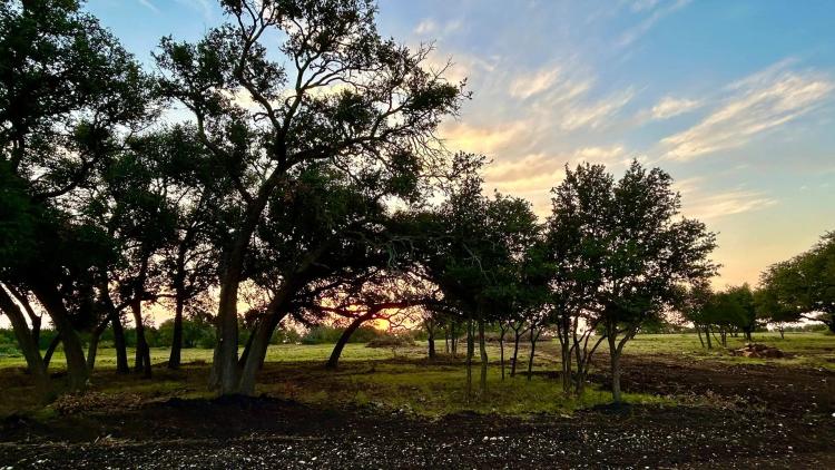 Sunrise Ridge Estates - Lot 9 Phase 1- Lampasas, TX