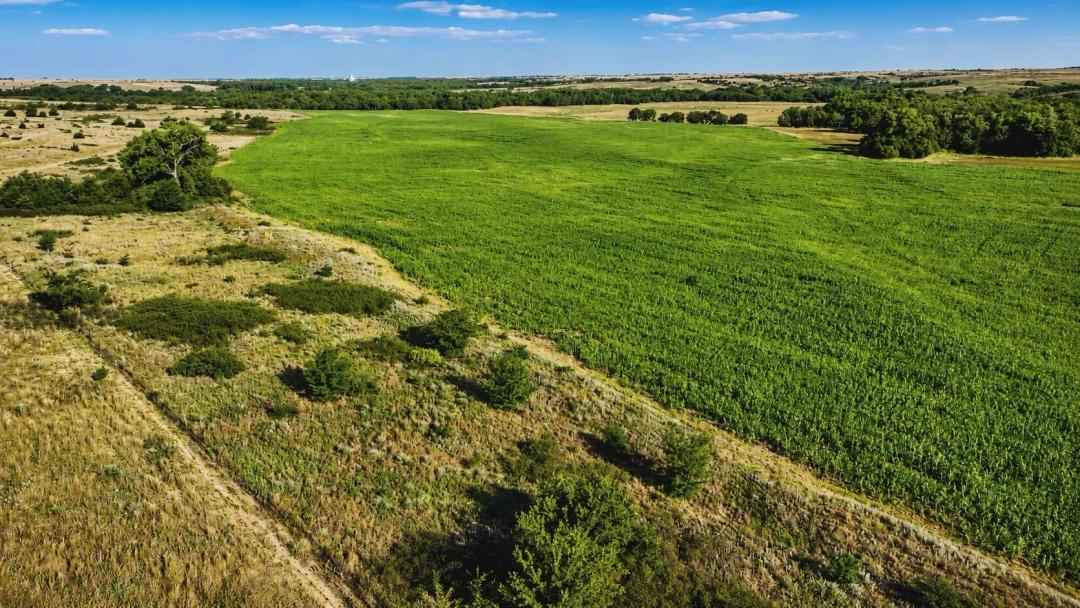 159 Acres of Hunting Land in Wilmore, KS for Sale
