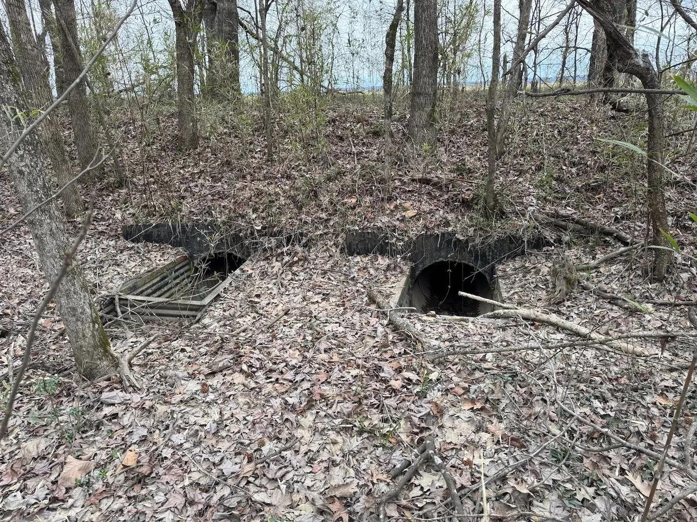 63263541-4