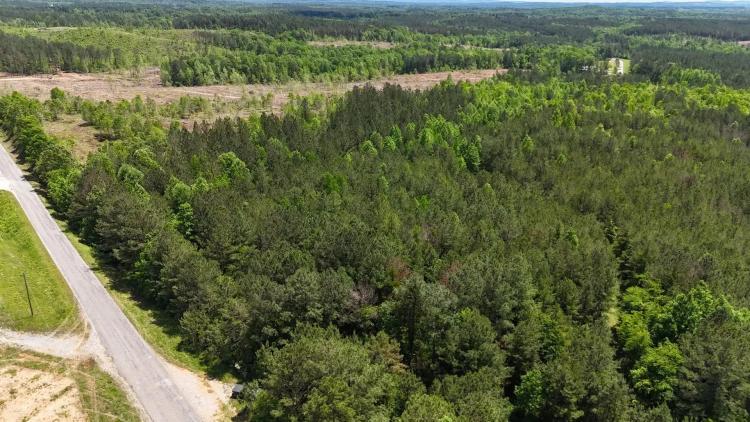 Lot 1 CR 40 Fruithurst, AL